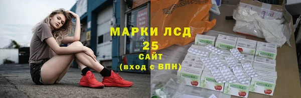 стаф Ладушкин