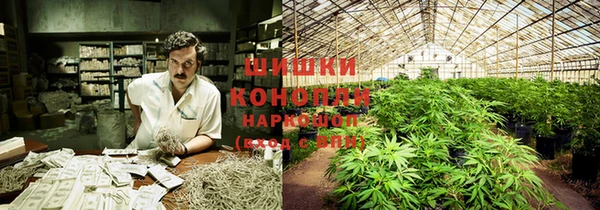 стаф Ладушкин