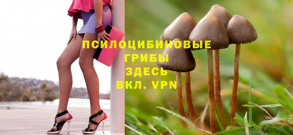первитин Лабытнанги