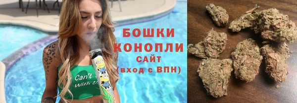 первитин Лабытнанги