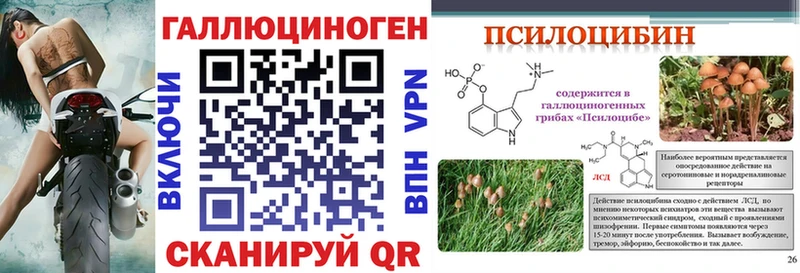 Псилоцибиновые грибы MAGIC MUSHROOMS  Луга 
